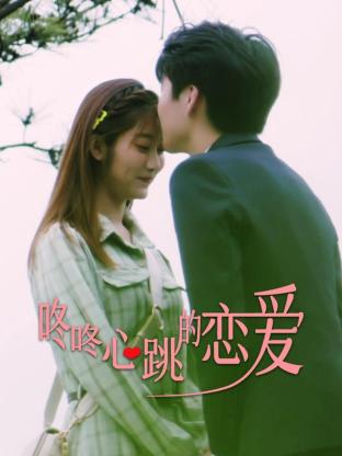 整站优化seo案例